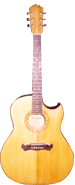 Jumbo Single Cutaway