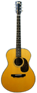 Standard Jacaranda model