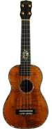 Concert Flower