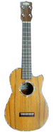 Concert Single Cutaway
