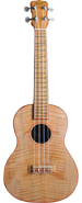 Tenor Standard